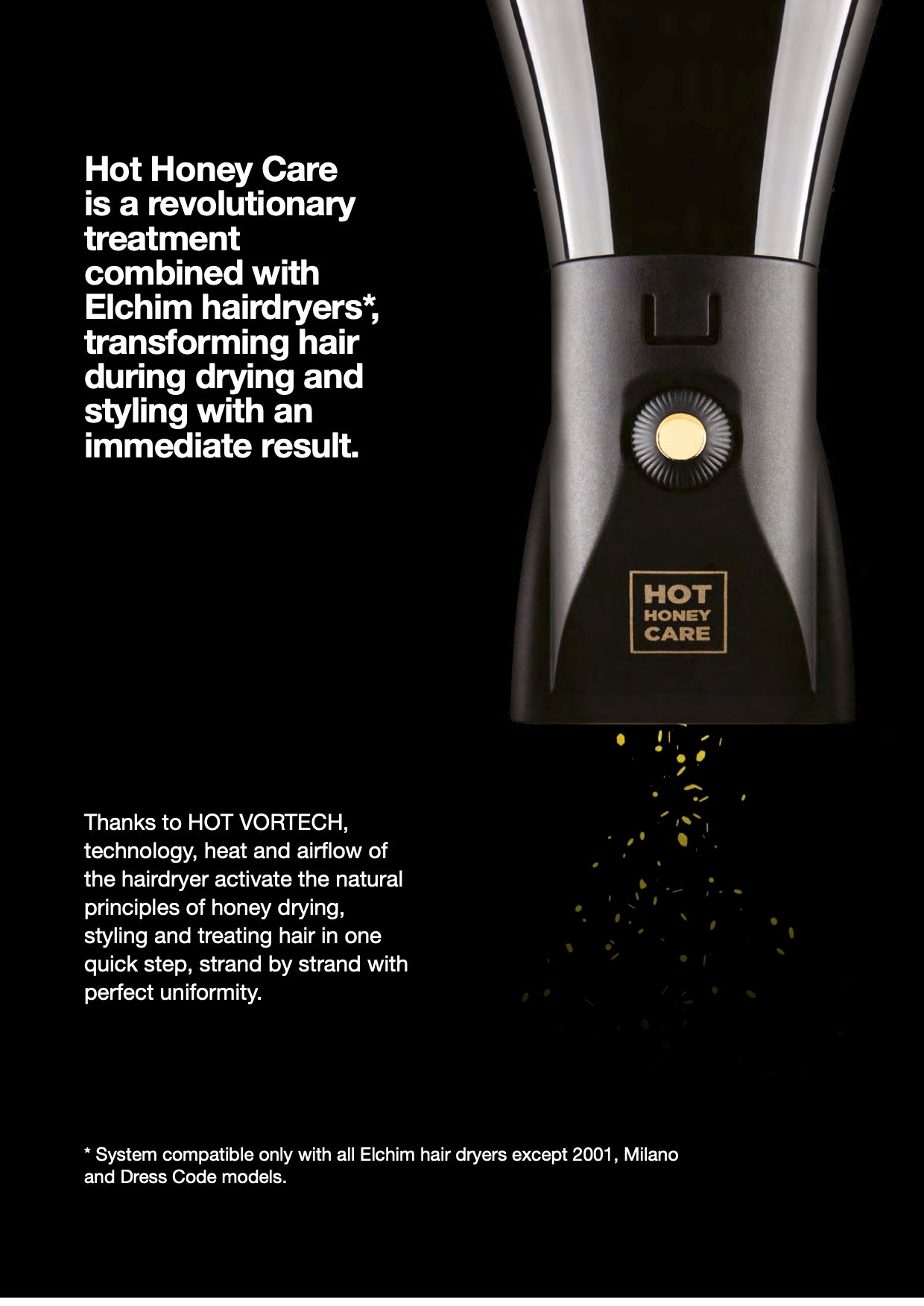 ElChim Hair Dryer
