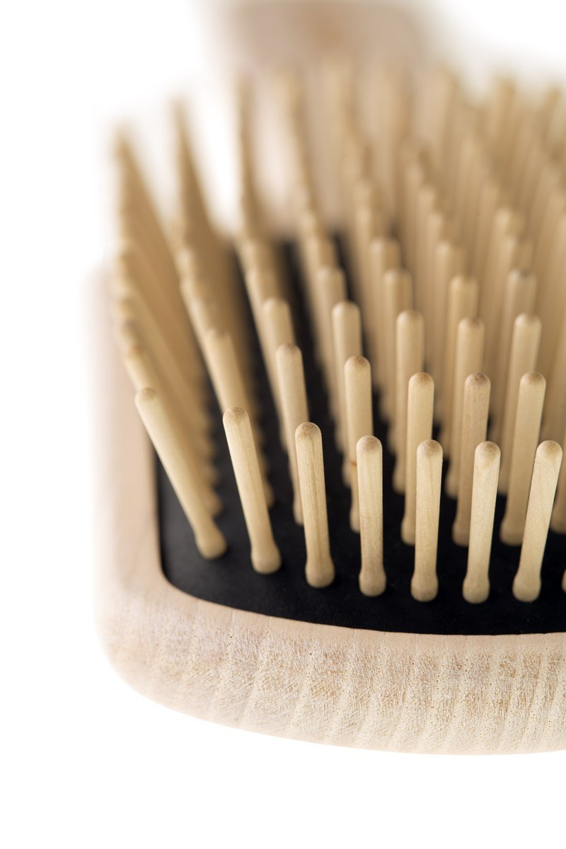 Paddle Brush