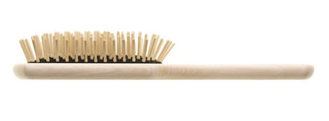 Paddle Brush