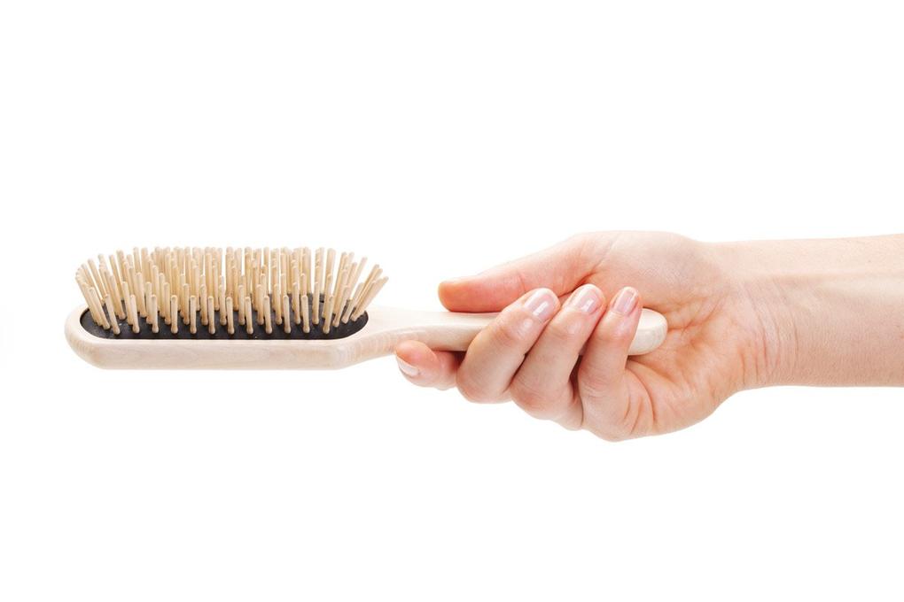 Paddle Brush